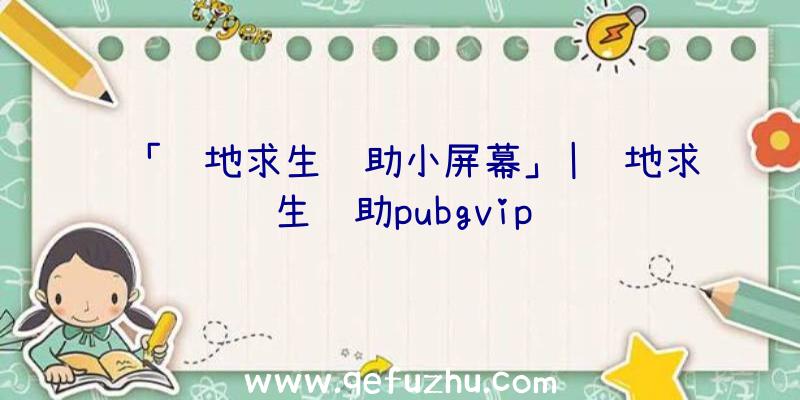 「绝地求生辅助小屏幕」|绝地求生辅助pubgvip